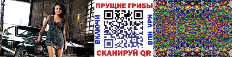 Галлюциногенные грибы GOLDEN TEACHER  купить  цена  Гвардейск 